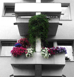 No garden – but there\'s a balcony  